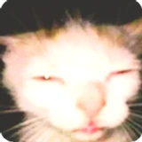 Eraog