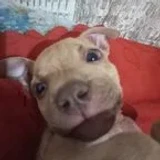 Ramiro