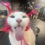 heyjudeagre
