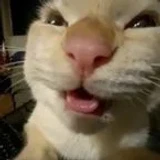 xklrzz