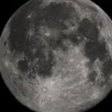 Moonluvor