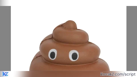 POOPHUB INSTA STEAL SOMEONE BUGS EXPECT ALL SOLUTIONS IN DC