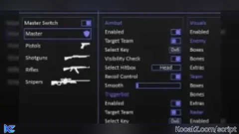 BEST WALLBANG SILENTAIM AUTOSHOOT TRIGGERBOT VISUALS RAGEBOT