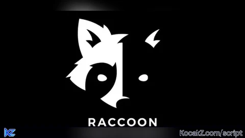 Raccoon Hub