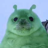 Glorpious_glorp