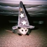 Ratin