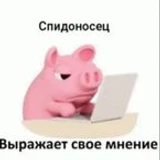 yourmomability