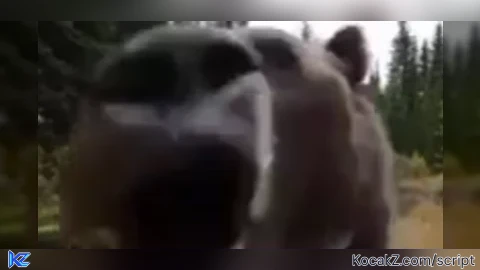 Soru spam loop