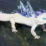 gdgjbvc