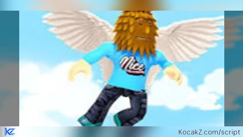 Fly