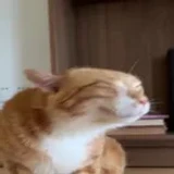 verycreativeuser