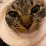 azuajs