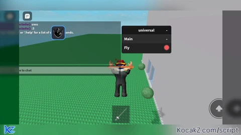 Fly script