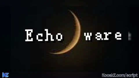 Tco antis by Echo