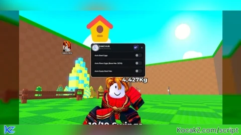 YANZ HUB OP