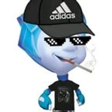 Kamiflex