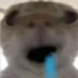 WhosThisGuy