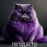 yoim0p