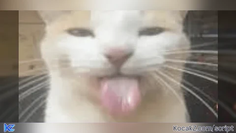Dex Honey Preview Remake