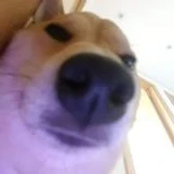 wesdfr
