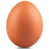 eggnautjunior
